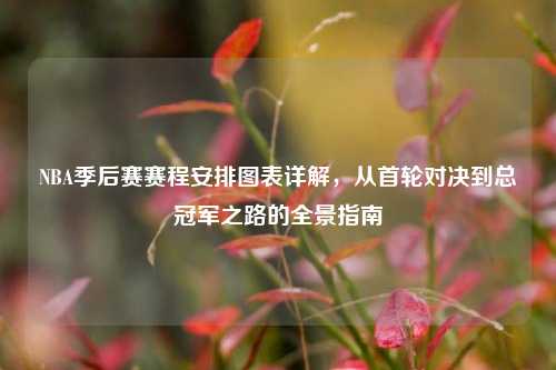 NBA季后赛赛程安排图表详解，从首轮对决到总冠军之路的全景指南