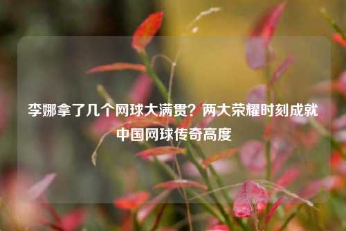 李娜拿了几个网球大满贯？两大荣耀时刻成就中国网球传奇高度