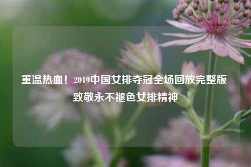 重温热血!2019中国女排夺冠全场回放完整版 致敬永不褪色女排精神