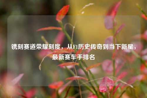 镌刻赛道荣耀刻度，从F1历史传奇到当下新星，最新赛车手排名