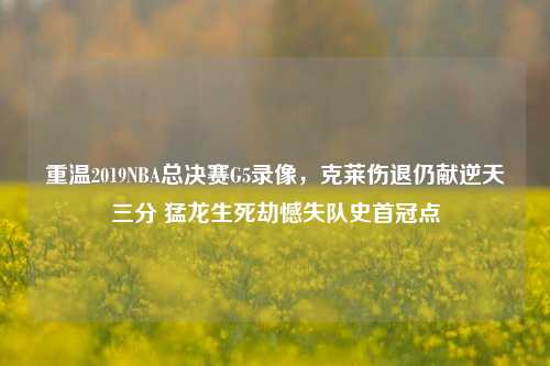 重温2019NBA总决赛G5录像，克莱伤退仍献逆天三分 猛龙生死劫憾失队史首冠点