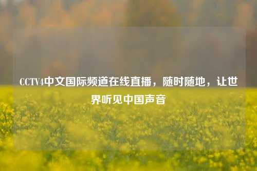 CCTV4中文国际频道在线直播，随时随地，让世界听见中国声音