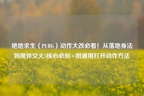 绝地求生（PUBG）动作大改必看！从落地身法到掩体交火3核心必知+附通用打开动作 *** 