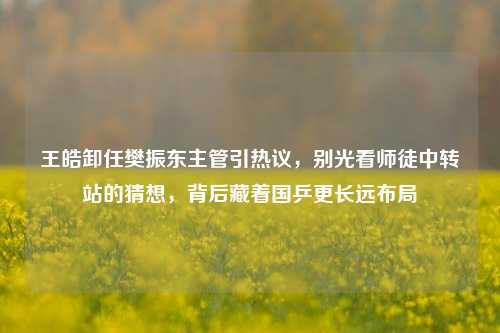 王皓卸任樊振东主管引热议,别光看师徒中转站的猜想,背后藏着国乒更长远布局