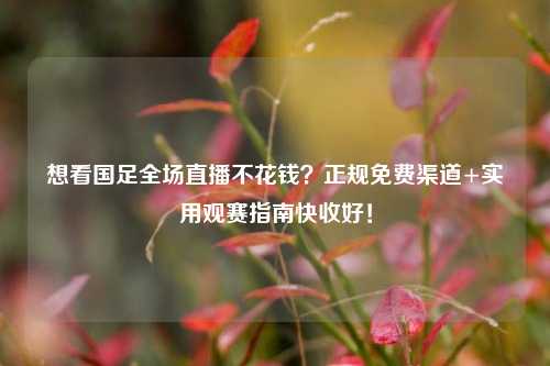 想看国足全场直播不花钱？正规免费渠道+实用观赛指南快收好！