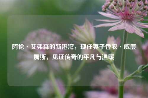 阿伦·艾弗森的新港湾,现任妻子香农·威廉姆斯,见证传奇的平凡与温暖