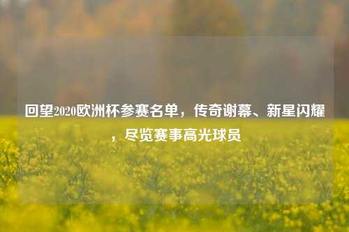 回望2020欧洲杯参赛名单，传奇谢幕、新星闪耀，尽览赛事高光球员