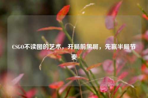CSGO不读图的艺术,开局前黑屏,先赢半局节奏