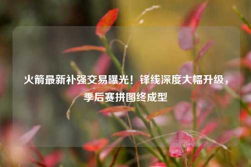 火箭最新补强交易曝光！锋线深度大幅升级，季后赛拼图终成型