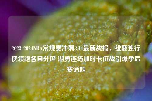 2023-2024NBA常规赛冲刺3.14最新战报,雄鹿独行侠领跑各自分区 湖勇连场加时卡位战引爆季后赛话题