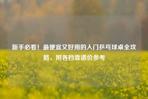 新手必看！更便宜又好用的入门乒乓球桌全攻略，附各档靠谱价参考