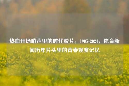 热血开场哨声里的时代胶片，1985-2024，体育新闻历年片头里的青春观赛记忆