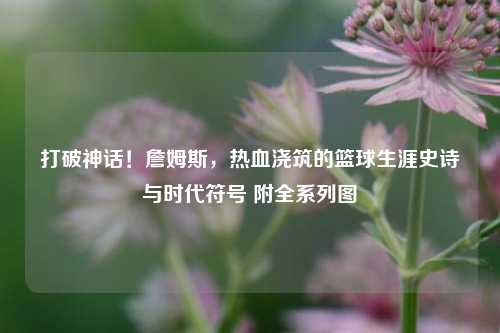 打破神话！詹姆斯，热血浇筑的篮球生涯史诗与时代符号 附全系列图