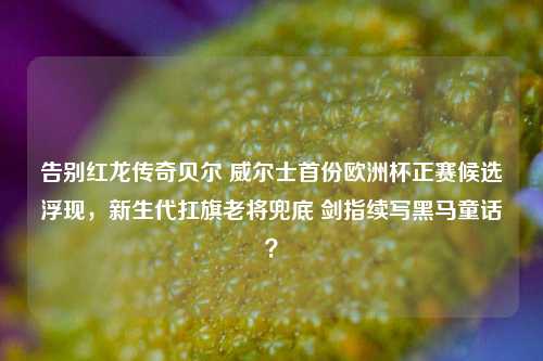 告别红龙传奇贝尔 威尔士首份欧洲杯正赛候选浮现，新生代扛旗老将兜底 剑指续写黑马童话？