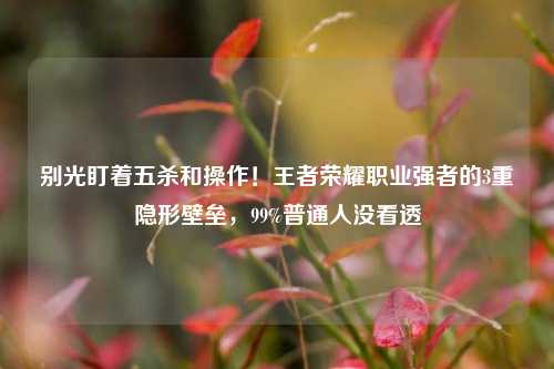 别光盯着五杀和操作！王者荣耀职业强者的3重隐形壁垒，99%普通人没看透
