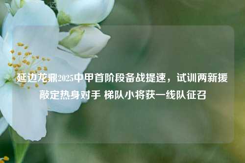 延边龙鼎2025中甲首阶段备战提速，试训两新援敲定热身对手 梯队小将获一线队征召