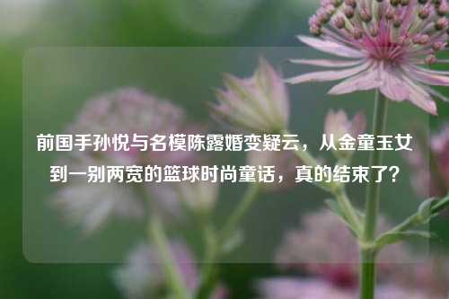 前国手孙悦与名模陈露婚变疑云，从金童玉女到一别两宽的篮球时尚童话，真的结束了？
