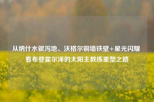 从纳什水银泻地、沃格尔铜墙铁壁+星光闪耀 看布登霍尔泽的太阳主教练重塑之路