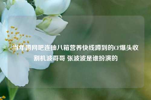 当年蹲网吧连抽八箱营养快线蹲到的CF爆头收割机波哥哥 张波波是谁扮演的