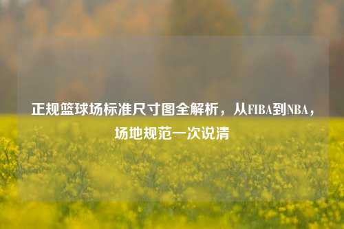 正规篮球场标准尺寸图全解析，从FIBA到NBA，场地规范一次说清