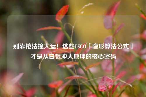 别靠枪法撞大运！这些CSGO「隐形算法公式」才是从白银冲大地球的核心密码