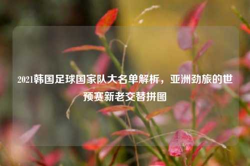 2021韩国足球国家队大名单解析，亚洲劲旅的世预赛新老交替拼图