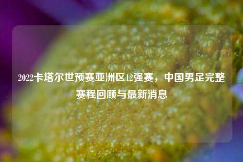 2022卡塔尔世预赛亚洲区12强赛，中国男足完整赛程回顾与最新消息