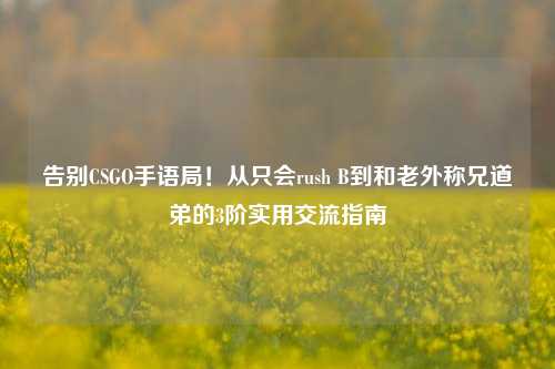 告别CSGO手语局！从只会rush B到和老外称兄道弟的3阶实用交流指南