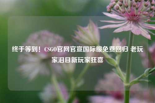 终于等到！CSGO官网官宣国际服免费回归 老玩家泪目新玩家狂喜