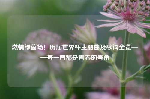 燃情绿茵场！历届世界杯主题曲及歌词全览——每一首都是青春的号角