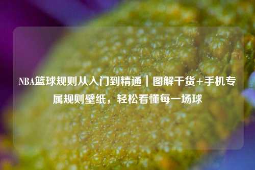 NBA篮球规则从入门到精通｜图解干货+手机专属规则壁纸，轻松看懂每一场球