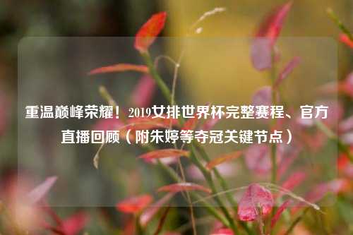 重温巅峰荣耀！2019女排世界杯完整赛程、官方直播回顾（附朱婷等夺冠关键节点）