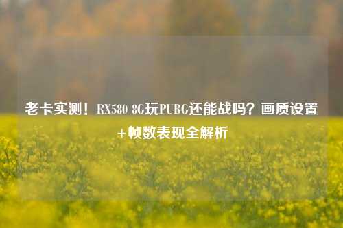 老卡实测！RX580 8G玩PUBG还能战吗？画质设置+帧数表现全解析