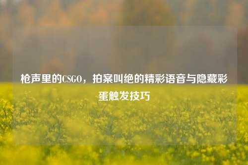 枪声里的CSGO,拍案叫绝的精彩语音与隐藏彩蛋触发技巧