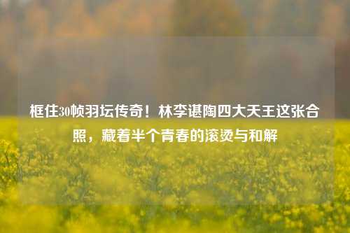 框住30帧羽坛传奇！林李谌陶四大天王这张合照，藏着半个青春的滚烫与和解