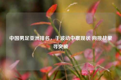 中国男足亚洲排名,于波动中察现状 向挑战里寻突破