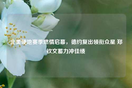 北美硬地赛季燃情启幕,德约复出领衔众星 郑钦文蓄力冲佳绩
