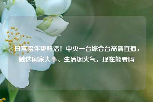 日常陪伴更鲜活!中央一台综合台高清直播,触达国家大事、生活烟火气,现在能看吗