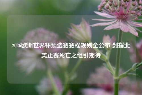 2026欧洲世界杯预选赛赛程规则全公布 剑指北美正赛死亡之组引期待