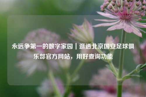 永远争之一的数字家园｜逛透北京国安足球俱乐部官方网站，用好查询功能