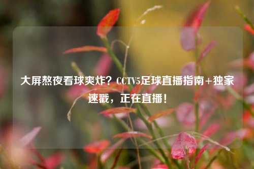 大屏熬夜看球爽炸？CCTV5足球直播指南+独家速戳，正在直播！