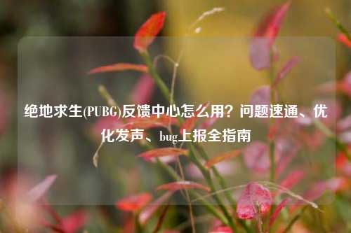 绝地求生(PUBG)反馈中心怎么用？问题速通、优化发声、bug上报全指南