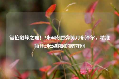 错位巅峰之痛！2米06肉盾弹簧刀布泽尔，精准撕开2米26姚明的防守网