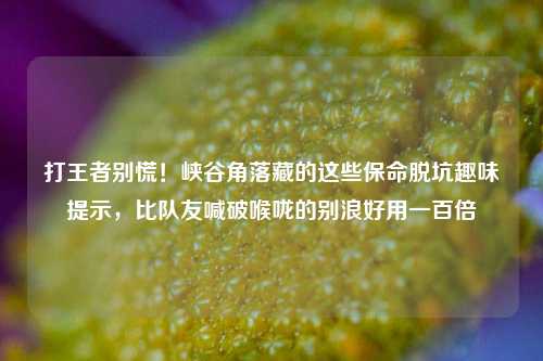 打王者别慌！峡谷角落藏的这些保命脱坑趣味提示，比队友喊破喉咙的别浪好用一百倍