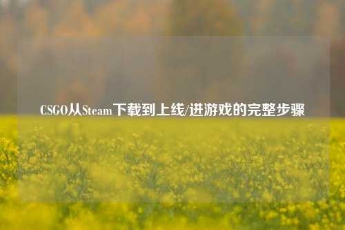 CSGO从Steam下载到上线/进游戏的完整步骤