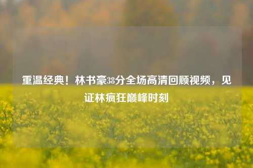 重温经典！林书豪38分全场高清回顾视频，见证林疯狂巅峰时刻