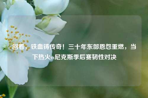 回看，铁血铸传奇！三十年东部恩怨重燃，当下热火vs尼克斯季后赛韧性对决