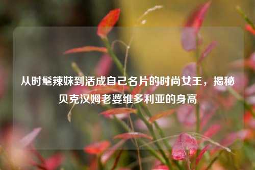 从时髦辣妹到活成自己名片的时尚女王，揭秘贝克汉姆老婆维多利亚的身高