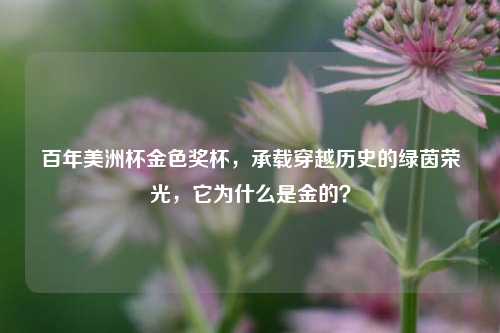 百年美洲杯金色奖杯，承载穿越历史的绿茵荣光，它为什么是金的？