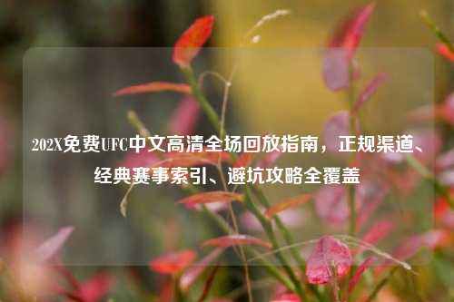 202X免费UFC中文高清全场回放指南，正规渠道、经典赛事索引、避坑攻略全覆盖